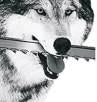 Timber Wolf Bandsaw Blades